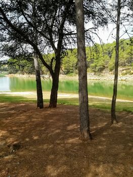 Reservoir practically dry with many pine trees around its perimeter