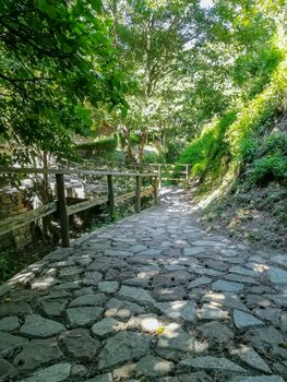 Paved path with a wooden fence in the natural landscape of Floresta in Viver