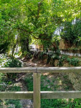 View of the occasionally dry channel of the natural landscape of La Floresta