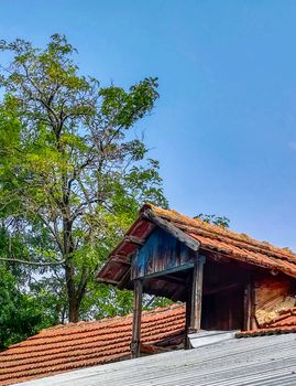 Turret on the roof next to a tree with red tiles