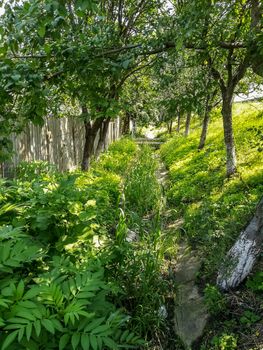 View of very green trees and grass in a large park of Puerto de Sagunto