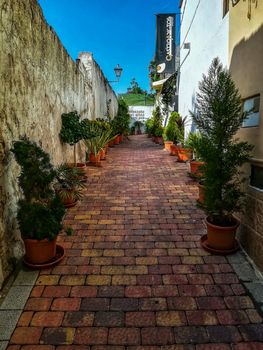 Beautiful little street with paved floor colors and cut with many plants