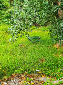 Metallic camping table swallowed by the tall grasses on the shore of the river Palancia