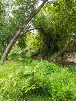 View of Palancia river a lot of vegetation as it passes through Segorbe