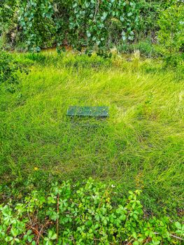 Metallic camping table swallowed by the tall grasses on the shore of the river Palancia