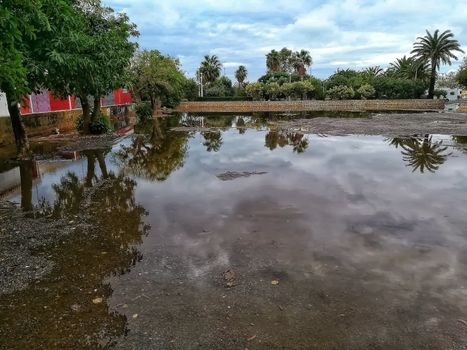 Parking flooded after heavy rains with trees reflected
