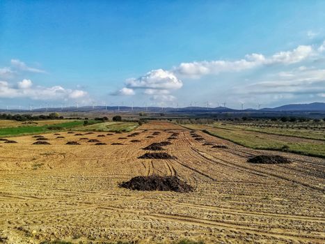 Framing field with mounds of manure with mountains in the background