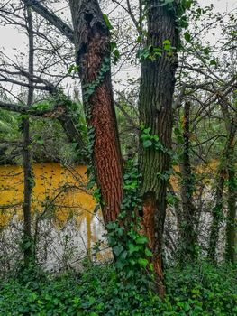 River of the natural setting of Clot with sediment laden water after heavy rains