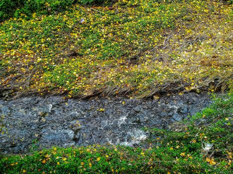 View of the river Palancia with many dry leaves on the banks as it passes through Jerica