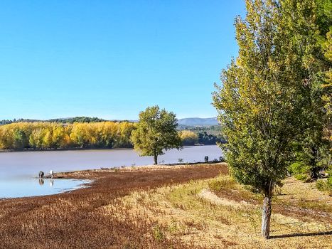 View of Puebla reservoir with mountains in the background and a pine forest