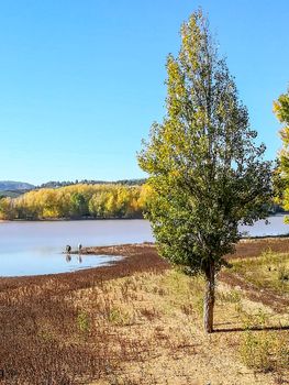View of Puebla reservoir with mountains in the background and a pine forest
