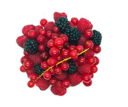 Forest fruits in composition on white background