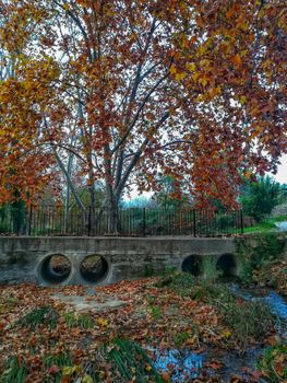 Autumnal landscape with many dry leaves with brown tones