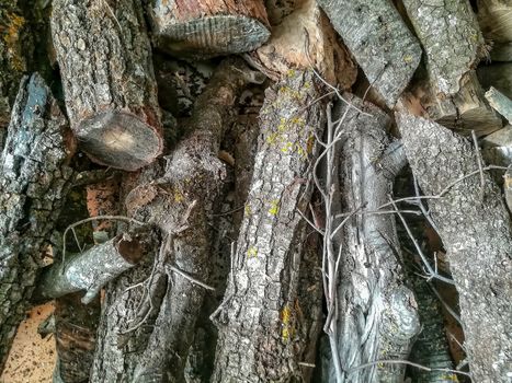 View of logs of stacked wood
