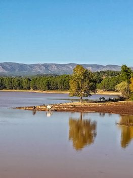 View of Puebla reservoir with mountains in the background and a pine forest