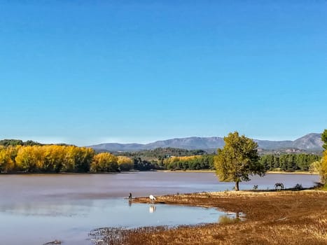 View of Puebla reservoir with mountains in the background and a pine forest
