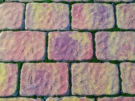 Rough pavement in pastel tones with moss on the boards