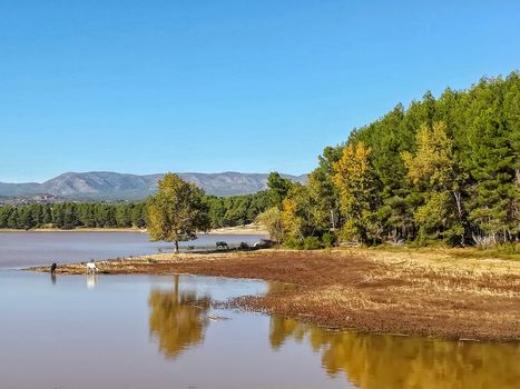 View of Puebla reservoir with mountains in the background and a pine forest