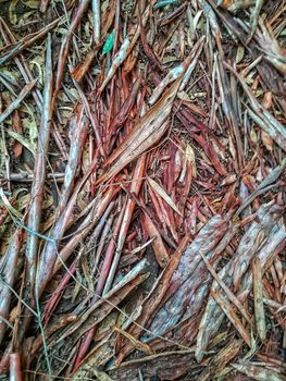 Background fallen leaves in green and brown tones