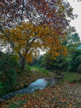 Autumnal landscape on the mountain