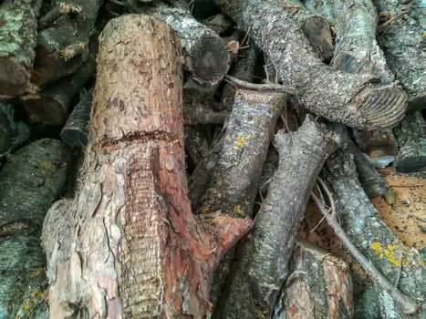 View of logs of stacked wood