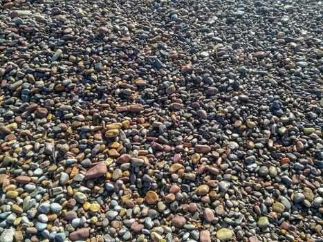 Rounded stones on the beach of different colors