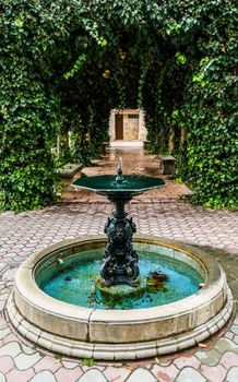Ancient fountain with a structure covered with plants behind it