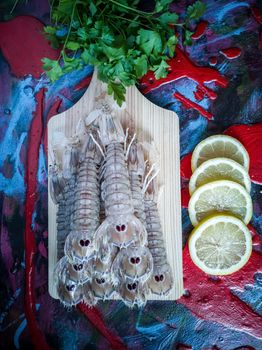 Seafood in composition on colorful and rough background