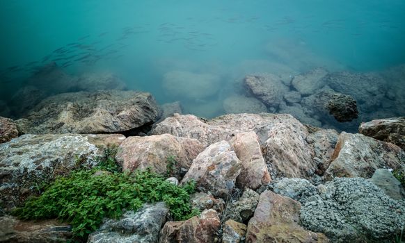 Fish swimming near the rocks on Burriana beach