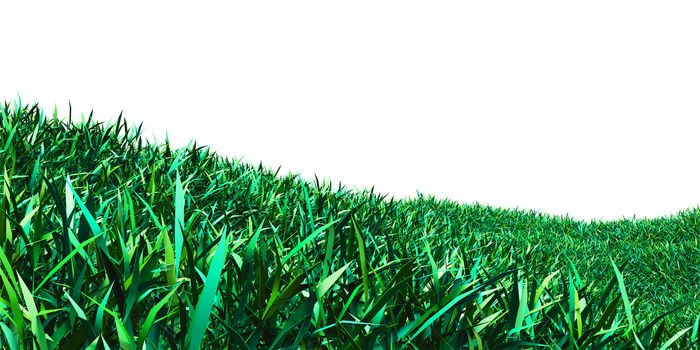 Background image of lush grass field. 3D illustration isolated on white background