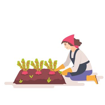 Woman removes weeds from the garden bed. Weed control concept. Female gardener weeding weed plants grass in vegetable beds. Flat illustration.