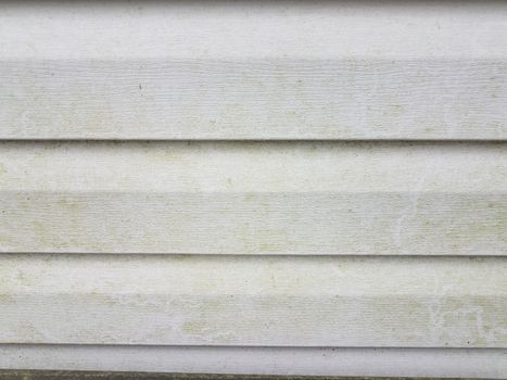 dirty or filthy white home or house siding with algae