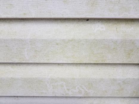 dirty or filthy white home or house siding with algae
