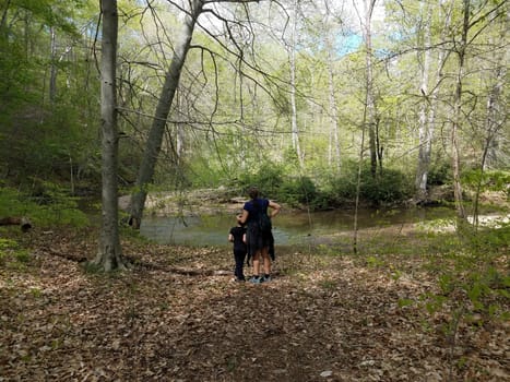 mother and son watching a stream or river in the forest or woods