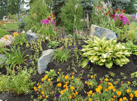 Blooming flowers in flower bed with rocks, Alpine slide.