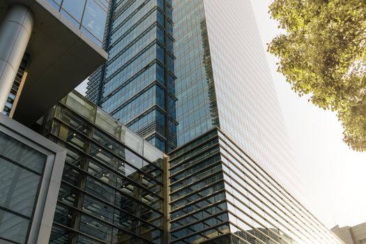 The landscape in the center of city, modern commercial background. A sunny day.