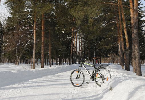 The bike stands on snow in winter Park.