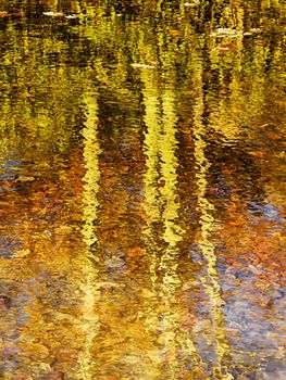Monet-like reflection of fall trees in North Carolina.