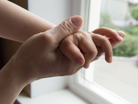 concept of a happy family - an adult holds the hand of a baby.