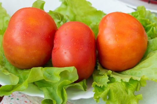 Tomatoes and lettuce, healthy food concept and weight loss.