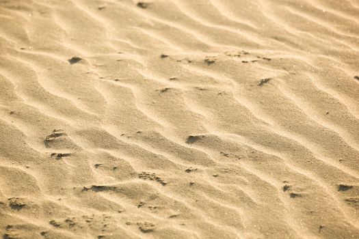 Close-Up Of Sand Background Texture