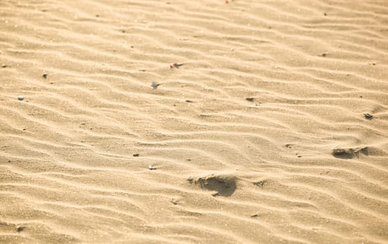 Close-Up Of Sand Background Texture