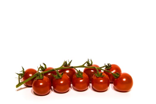 ten cherry tomatoes with a white background