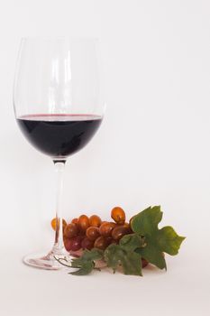 Glass of red wine vith a bunch of grapes and white background