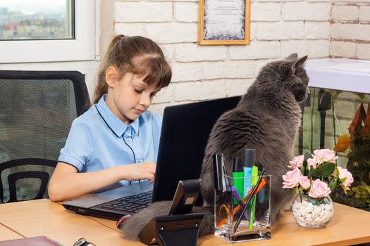Eight-year-old girl at the office table, a cat sits on the table