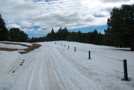 Cross country sky track with cloudy sky and a background of pine trees at La Rabassa Naturlandia, Andorra