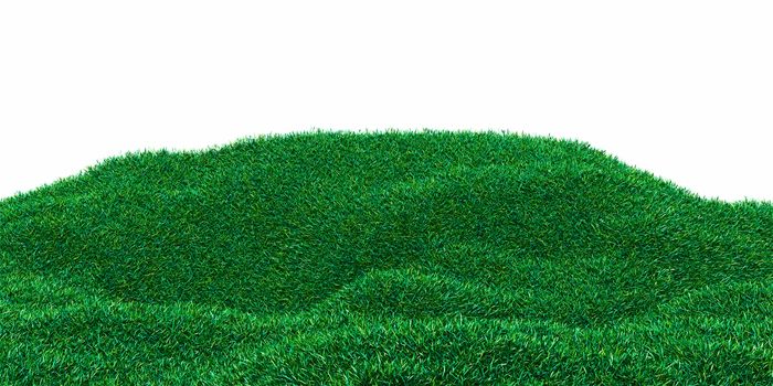 Background image of lush grass field. 3D illustration isolated on white background