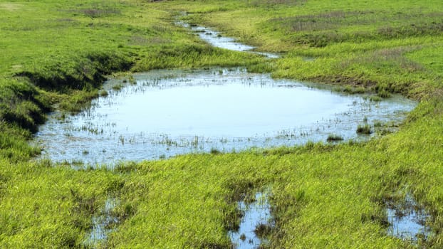 Biotope on the Elbe - National Park on the Elbe