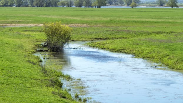 Biotope on the Elbe - National Park on the Elbe