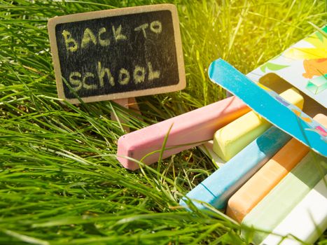 Mini blackboard written Back to school and colorful chalk on a green grass background.